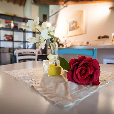 فندق مبيت وإفطار L'albero Di Gameli تشيوسي