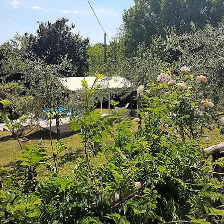 L'albero Di Gameli 4* キウージ