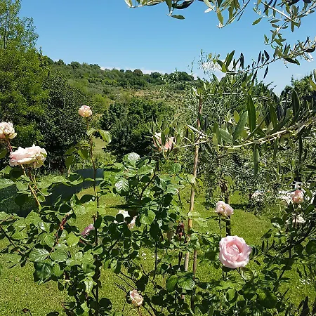 L'albero Di Gameli Couette-café Chiusi