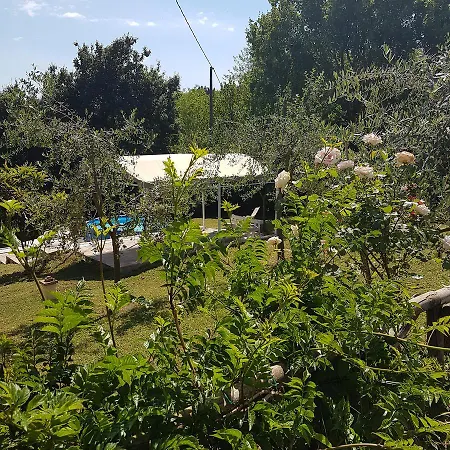 L'albero Di Gameli Couette-café Chiusi